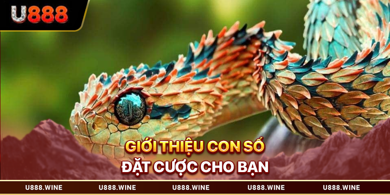 Mơ Thấy Rắn - Giải Mã Chiêm Bao Và Con Số Liên Quan 2026 Giới thiệu con số đặt cược cho bạn