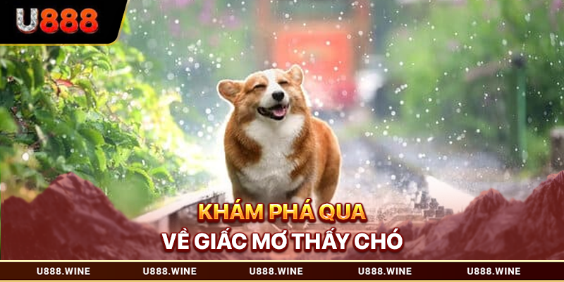 Mơ Thấy Chó - Giải Mã Chiêm Bao Và Ý Nghĩa Tiềm Ẩn T1.2026 Khám phá qua về giấc mơ thấy chó